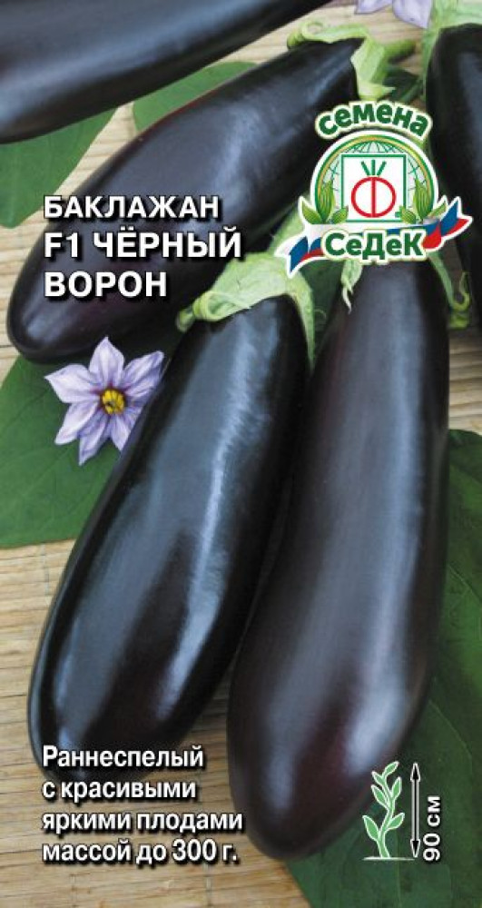 Семена баклажана «Черный ворон F1» | СеДеК