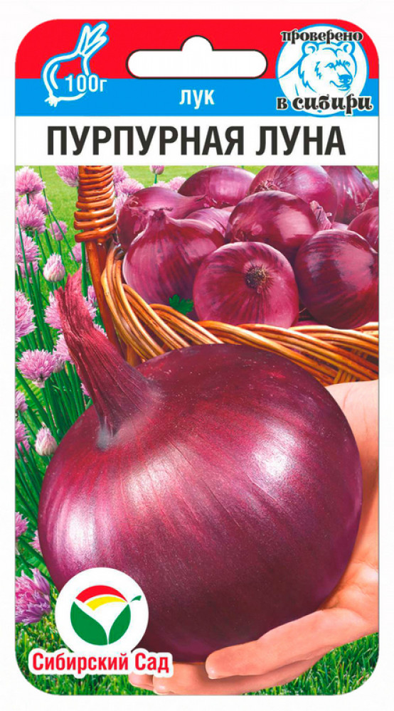 Лук репчатый «Пурпурная луна» | Сибирский Сад