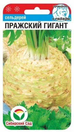 Сельдерей «Пражский гигант корневой»