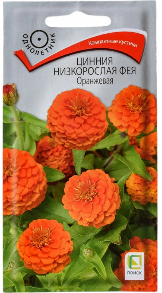 Семена. Цинния низкорослая «Фея Оранжевая» | Поиск