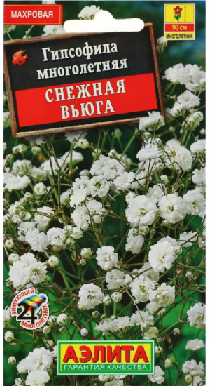 Гипсофила «Снежная вьюга»