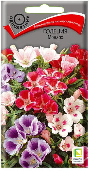 Годеция «Монарх»