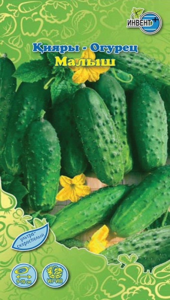 Семена огурца «Малыш» | Инвент+