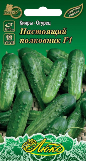 Семена огурца «Настоящий Полковник F1»