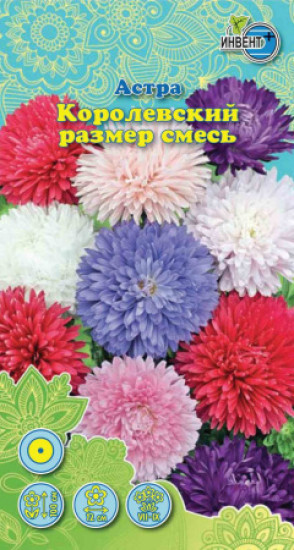 Семена астры «Королевский размер. Смесь сортов»