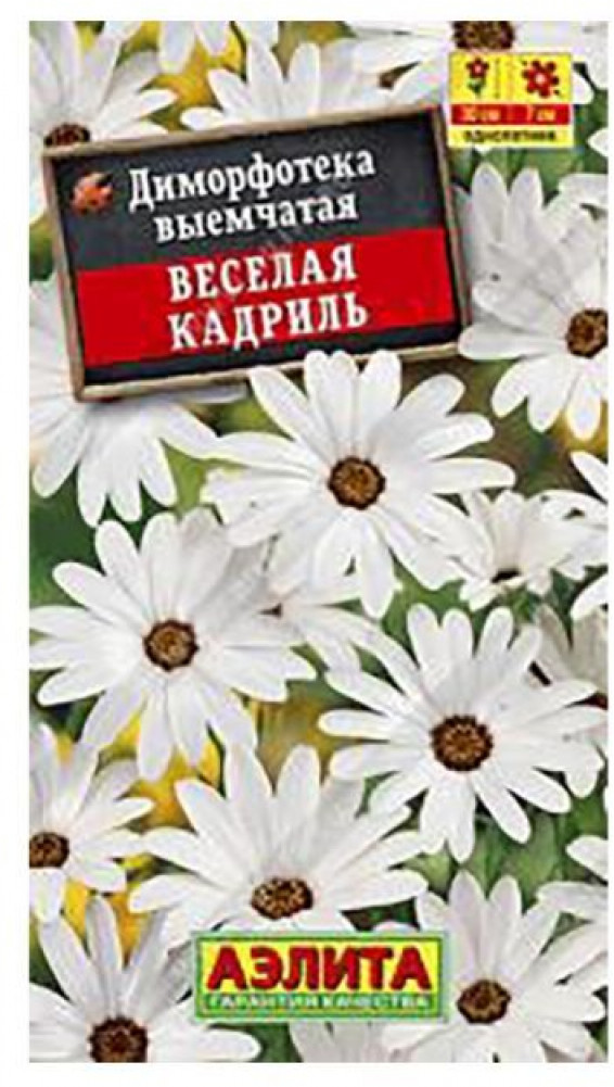 Семена диморфотеки «Веселая Кадриль» | Аэлита