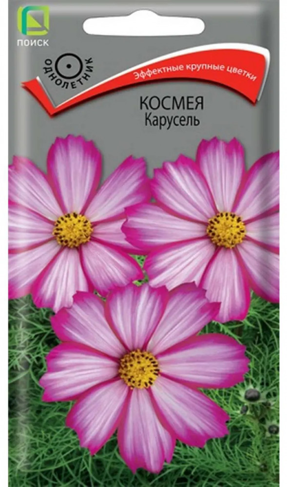 Космея «Карусель» | Поиск