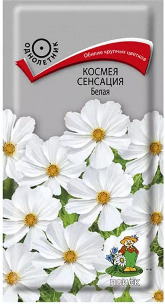 Семена космеи «Сенсация белая» | Поиск