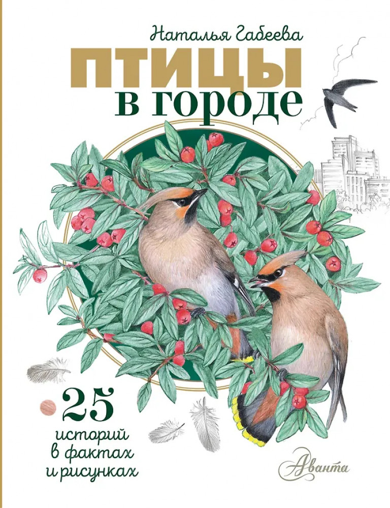 Птицы в городе. 25 историй в фактах и рисунках | Оглянись вокруг