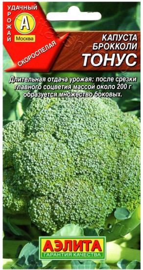 Капуста брокколи «Тонус»