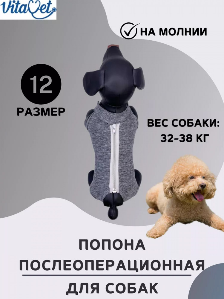 Попона послеоперационная для собак | VitaVet