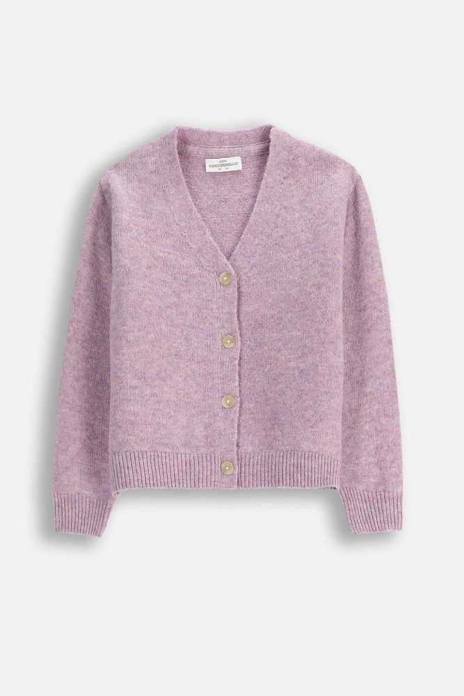 Свитер для девочек | Coccodrillo