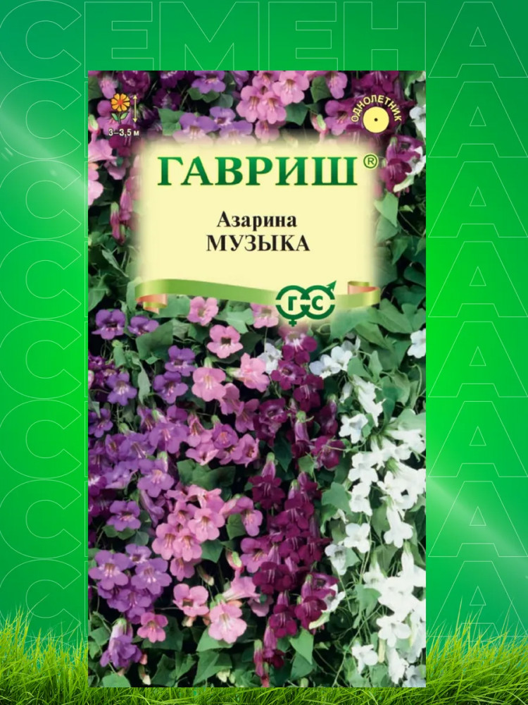 Семена азарины «Музыка» | Гавриш