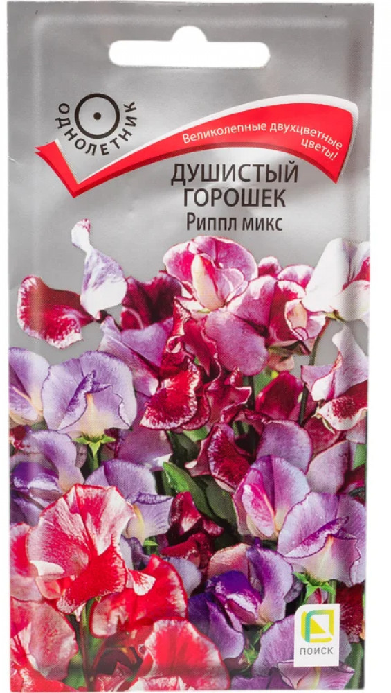 Душистый горошек «Риппл Микс однолетние» | Поиск