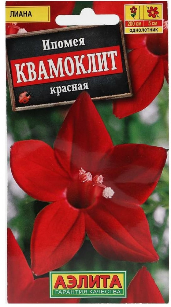 Ипомея «Квамоклит красная» | Аэлита