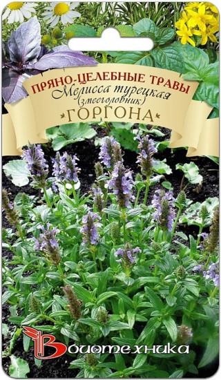 Семена мелиссы турецкой «Горгона»