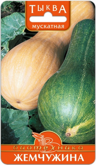 Семена тыквы мускатной «Жемчужина»