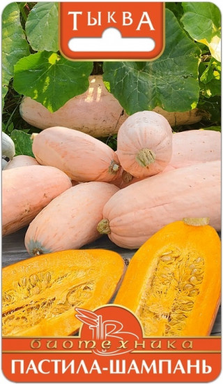 Семена тыквы «Пастила-шампань»