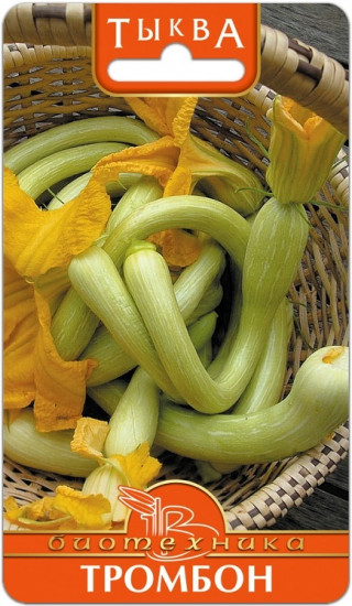 Семена тыквы «Тромбон»