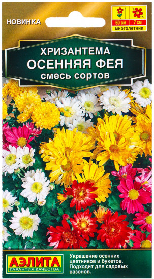 Хризантема «Осенняя фея смесь»