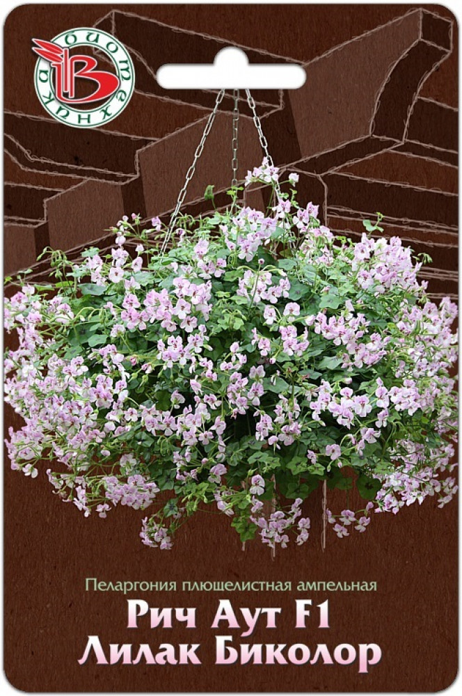 Пеларгония плющелистная ампельная «Рич Аут F1 Лилак Биколор» | Биотехника
