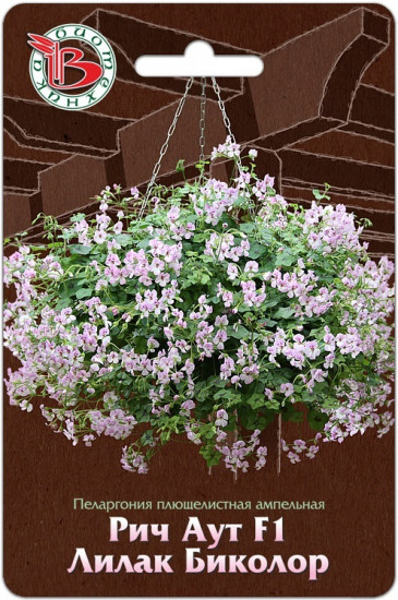 Пеларгония плющелистная ампельная «Рич Аут F1 Лилак Биколор»