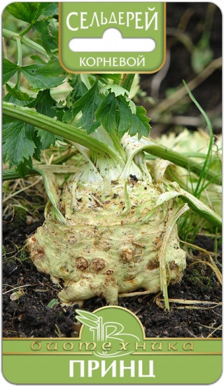 Сельдерей корневой «Принц»