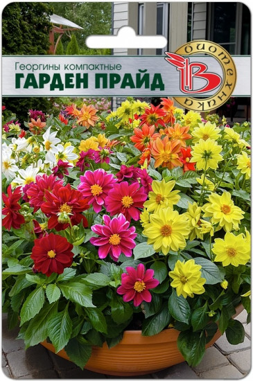 Георгины компактные «Гарден Прайд»