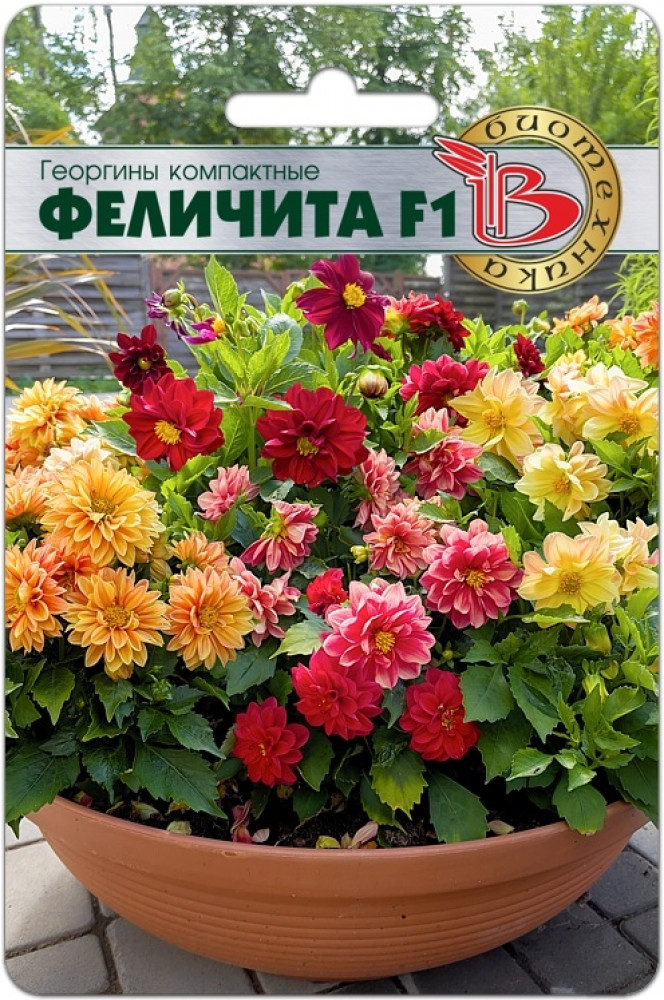 Семена георгинов компактных «Феличита F1» | Биотехника