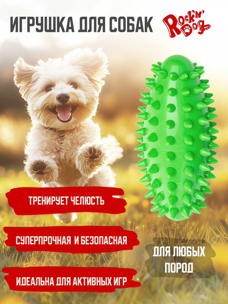Игрушка для собак «Зелёный цеппелин» | Rock'n'Dog