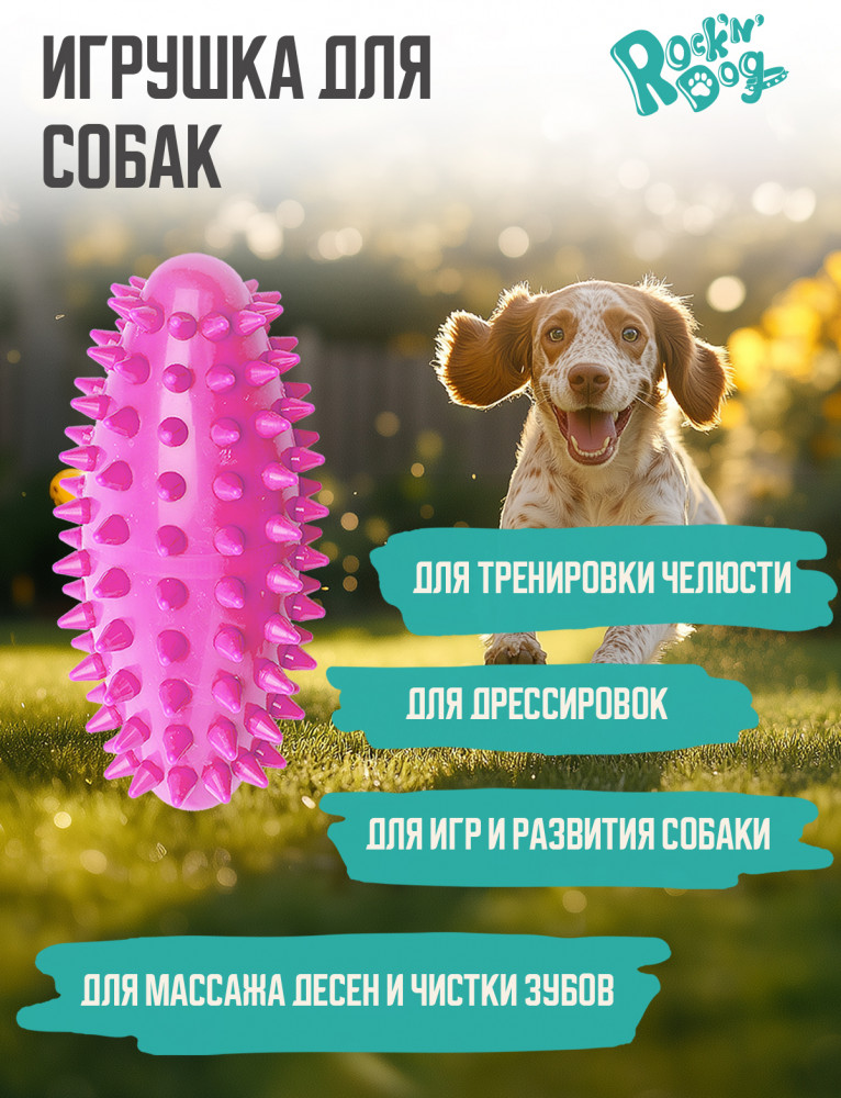 Игрушка для собак «Макси-рок» | Rock'n'Dog