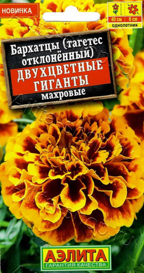 Бархатцы «Двухцветные гиганты отклоненные махровые»