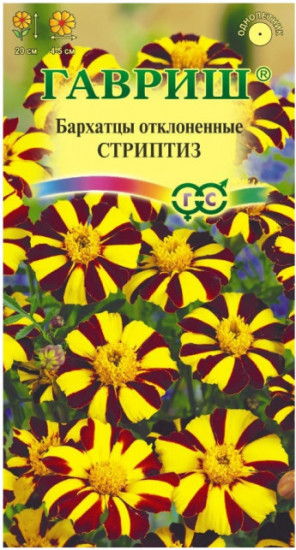 Бархатцы «Стриптиз»
