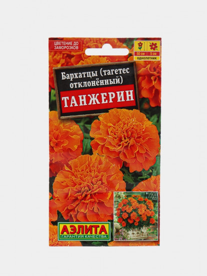 Бархатцы «Танжерин»