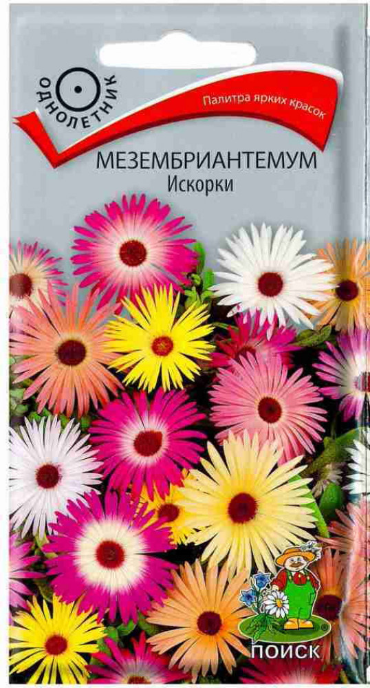 Семена мезембриантемума «Искорки» | Поиск