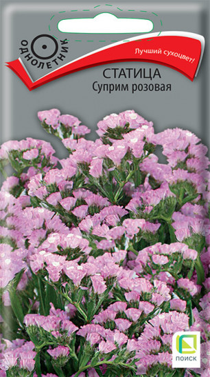 Статица «Суприм розовая»