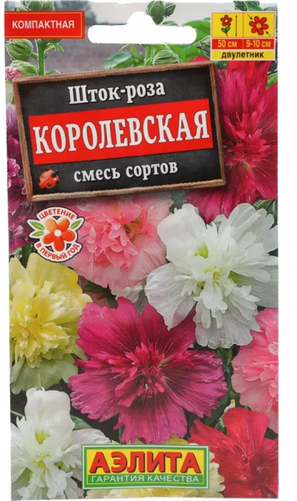 Шток-роза «Королевская» | Аэлита