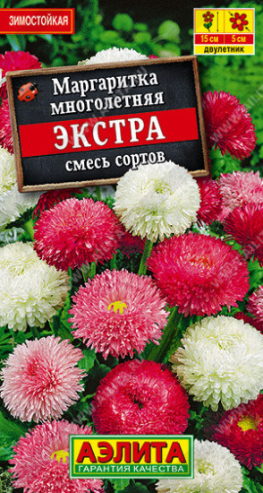 Маргаритка «Экстра»