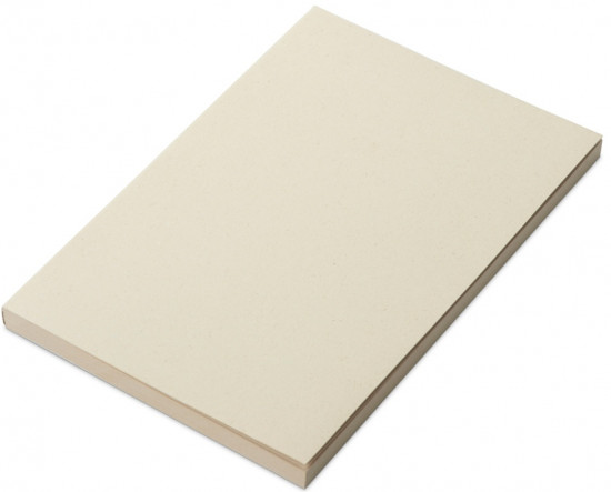 Блокнот «Adiantum»