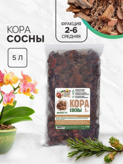 Кора сосны