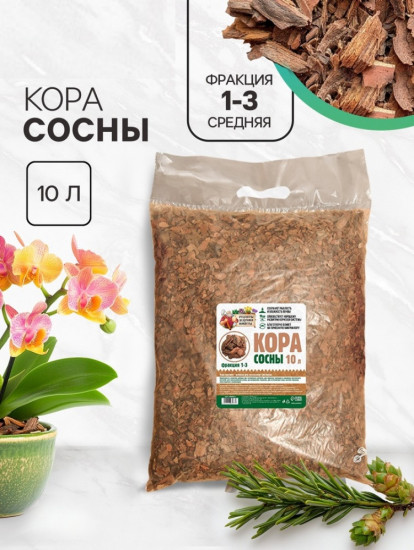 Кора сосны