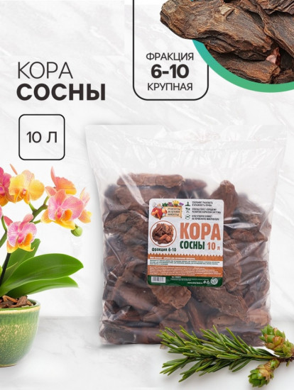 Кора сосны