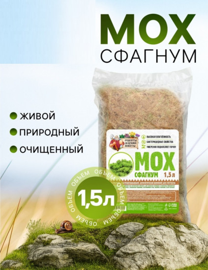 Мох сфагнум