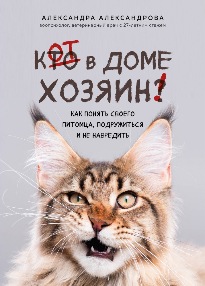 Кот в доме хозяин! Как понять своего питомца, подружиться и не навредить | Домашние питомцы. Уход, здоровье, воспитание