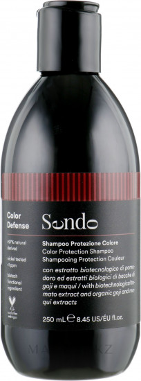 Шампунь для защиты цвета окрашенных волос «Color Defense Protection Shampoo»