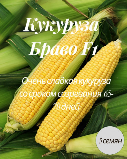 Кукуруза «Браво F1»