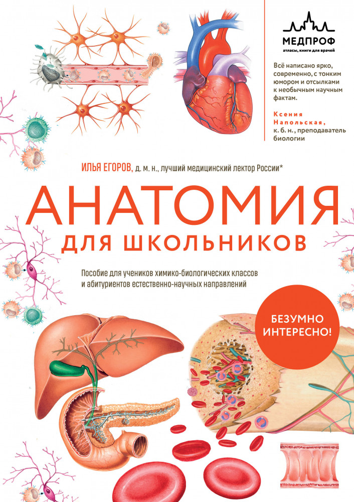 Анатомия для школьников. Пособие для учеников химико-биологических классов и абитуриентов естественно-научных направлений | Наглядные пособия. Учебник