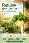 сары сары