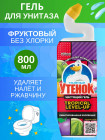 тропические фрукты тропические фрукты