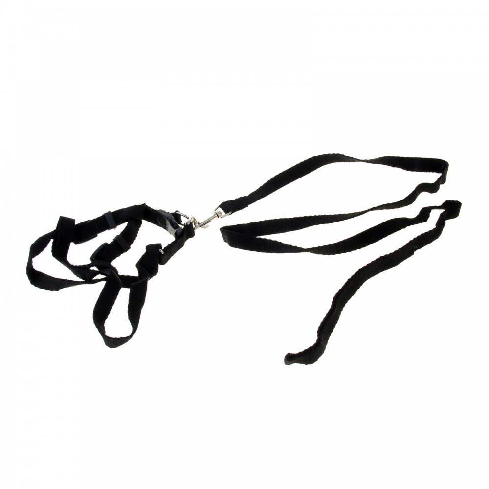 Комплект «Базис», поводок 120 х 1,5 см, шлейка 32-46 х 1,5 см, черный